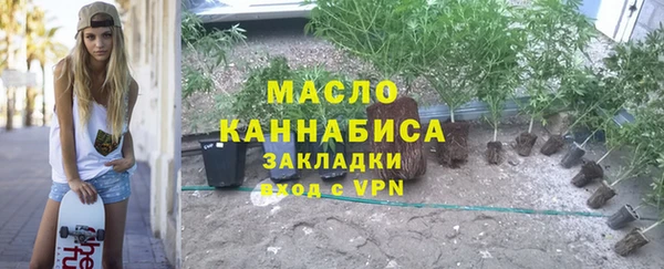 индика Волосово