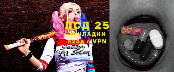 индика Волосово