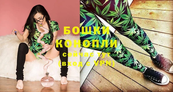 молекула духа Верея
