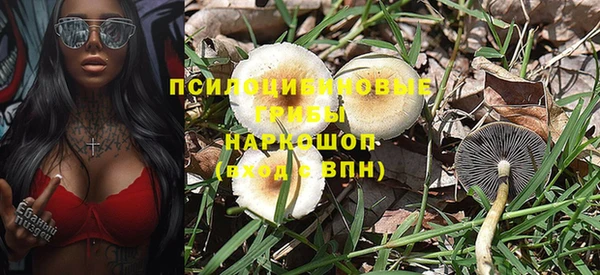 молекула духа Верея